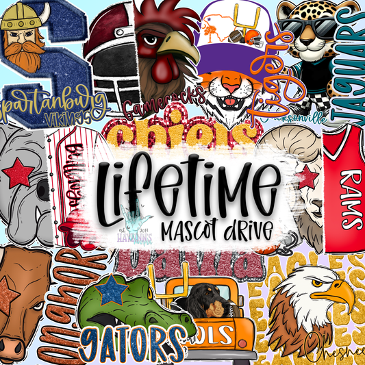 Haylinn's LIFETIME School Spirit {MASCOT} Drive